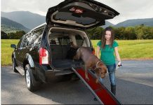 Best Dog Ramps for Cars, Beds & Senior Dogs – What to Buy and Why