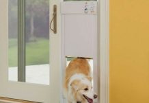 Best Electronic Dog Doors – Smart, Secure, & Pet-Owner Approved