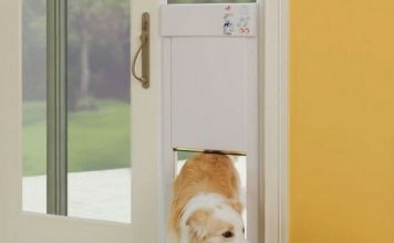 Best Electronic Dog Doors – Smart, Secure, & Pet-Owner Approved