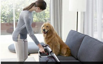 Best Cordless Vacuums for Pet Hair – Lightweight, Powerful & Pet-Owner Approved