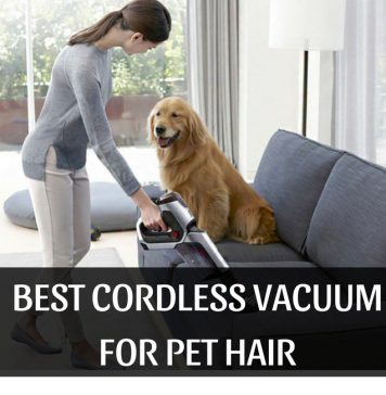Best Cordless Vacuums for Pet Hair – Lightweight, Powerful & Pet-Owner Approved