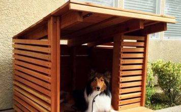 Best Dog Houses Reviewed – Safe, Cozy & Built to Last