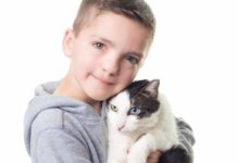 Bullied 7-year-old adopts cat with same rare eye condition and cleft lip