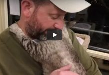 Shy Cat Greets Her New Daddy at Shelter with a Big Long-Lasting Hug!