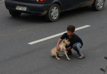 Amazing People Who Risked Their Own Lives To Save Animals