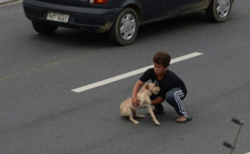 Amazing People Who Risked Their Own Lives To Save Animals