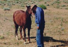 Old Cowboy Dedicates Life To Saving Wild Mustangs In America