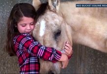8-Year-Old Girl Gave Up Her Birthday Gifts To Help Abused Horses!