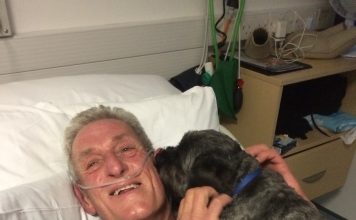 An Old Man Wakes Up From Coma After Hearing His Dog Barking