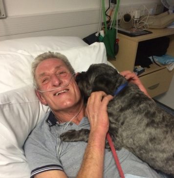 An Old Man Wakes Up From Coma After Hearing His Dog Barking