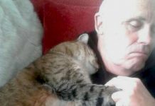 Man Recovering From Surgery Wakes To Snuggling Cat — But He Doesn’t Own A Cat
