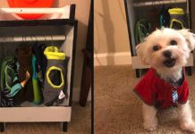 Grandpa Builds Tiny Closet For Dog Who Loves To Wear Clothes