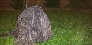 What They Thought Was A Trash Bag Ended Up Being The Sweetest Little Girl