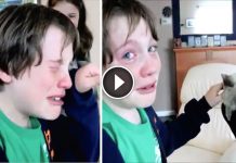 Kids Cries Tears Of Joy When Mom Brings Home Losted Cat