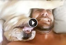 Dog Makes A Hilarious Noise Whenever He Wakes Up. I Can’t Stop Laughing