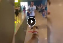 Dog Stops And Stares At The Owner He Hasn’t Seen In 3 Years, But The Real Reaction Is Coming…