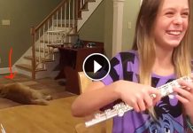 She Is Trying To Play Flute, Instead Dog Has Internet In Laughter