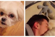 Parents Leave For Vacation They Were Worried, Their Son Sent Them The Sweetest Video To Update Them