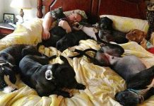 Couple Spend Sleepless Nights In Crowded Bed, The Solution They Come Up With Is Brilliant