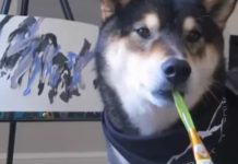 Dog Shows Off His Talent By Painting, And People Love His Artwork