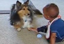 Woman Heard Her Baby Screaming, Then Ran In To Witness The Most Endearing Moment