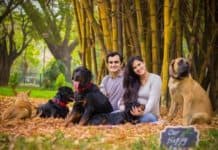 Pregnant Woman’s Family Ordered Her To Get Rid Of Her Dogs, So She Posts This Pic In Response