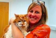 Meet One Of The Oldest Cats In The World – Who Is 137 In Human Years!