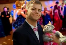 This Guy Couldn’t Get A Date For Prom, So He Took His Cat