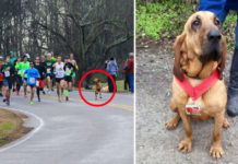 Dog Accidentally Takes Part In Half-Marathon After Mom Lets Her Out For Pee, Finishes 7th