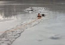 Police Officer Risks His Life Diving Into A Frozen Lake To Save A Helpless Dog