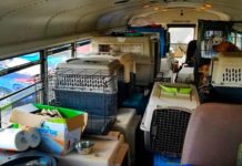 Real-Life Noah Saves Hundreds Of Animals In A Converted Bus