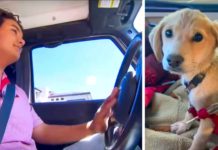 Student And Puppy Reunited After Being In A Horrific Car Accident