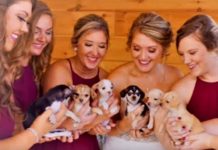 Bridesmaids Carry Puppies Down The Aisle – Wait Until You Find Out Why