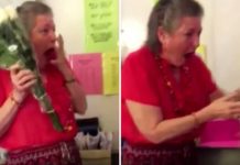 Teacher Loses Her Beloved 16-Yr-Old Cat, But Bursts Into Tears When She Sees Student’s Surprise