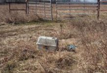 Bikers Spot Chewed Up Crate In Middle Of Field, But When They Look Inside, Their Hearts Sink