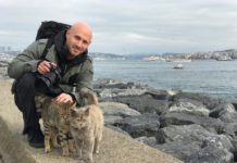 You NEED To See These Adorable Photos Of Stray Cats Cuddling