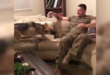 Dog Thought Soldier Dad Abandoned Her, But When He Finally Comes Home, Nothing Can Hold Her Back