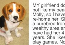 His Girlfriend Demands “Either The Dog Goes Or I Go” His Response Has The Internet Applauding
