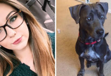 Girl Begs Professor To Let Her Bring Dog To Class To Save It From Hurricane, And His Response Wins Internet