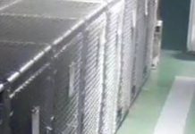 Pet Motel Camera Captures Dog Sneaking Out Of Her Kennel To Comfort 2 Crying Foster Puppies