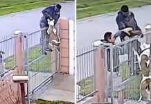 Owner Acts Fast And Saves Pit Bull From Sneaky Thief, Films And Posts It For Everyone To See