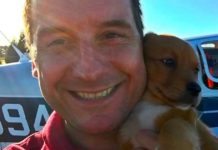 Hundreds Of Dogs Are Destined For Death Until Veteran Bought A Plane To Save Them