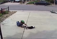 Little Boy Takes Time To Play With The Neighbor’s Cat Other Kids Find “Scary”
