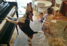Rescued Singing & Piano Playing Dog Goes Viral With Sister Eve