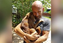 Puppy Saved From Slaughterhouse Shows Her Gratitude In An Incredible Manner
