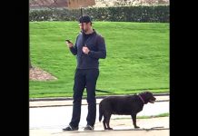 Man Stands With Sign For Hours To Find Lost Dog’s Owner