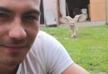Dad Calls Out And A Good Boy Comes Running, But It’s Not A Dog