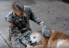 Senior Dog Can’t Stand Up Anymore, But Watch When She Sees Her Soldier Back Home!