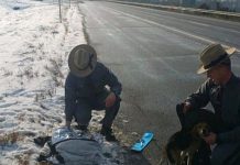 Trucker Slams The Brakes When He Spots It On The Roadside. Now The Police Are Begging For Help