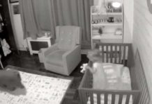 Family Dog Loves Helping Put Crying Baby Girl Back To Sleep During The Night